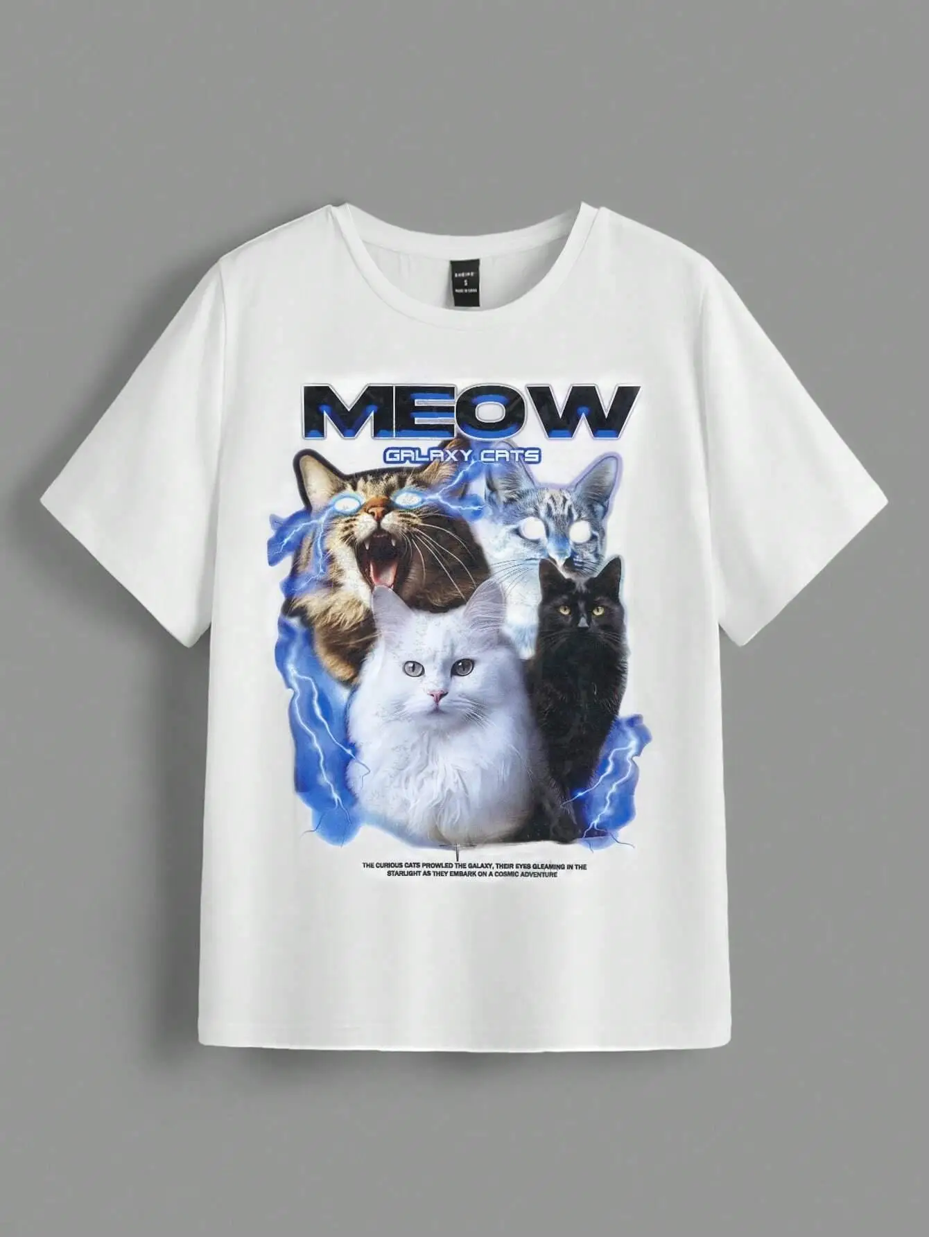 المرأة تي شيرت خمر القطط مضحك  - مراجعة Fashion Street Cat وسعره